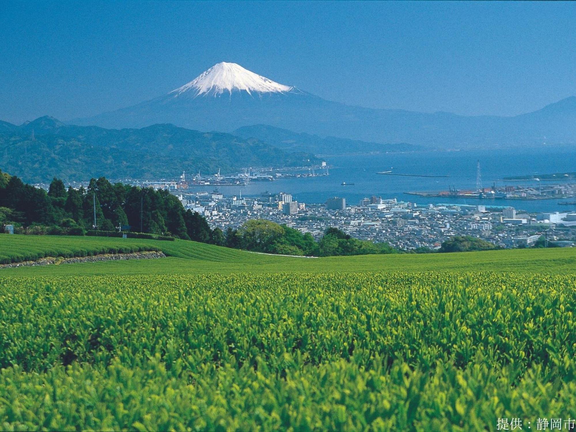 Hotel Wing International Shizuoka Eksteriør billede